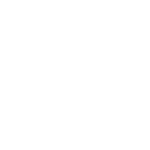 Schadenet logo
