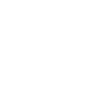 TSF logo