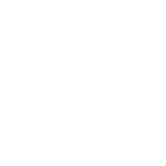 Worldstream logo